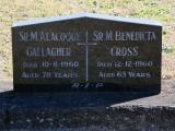 image of grave number 667895